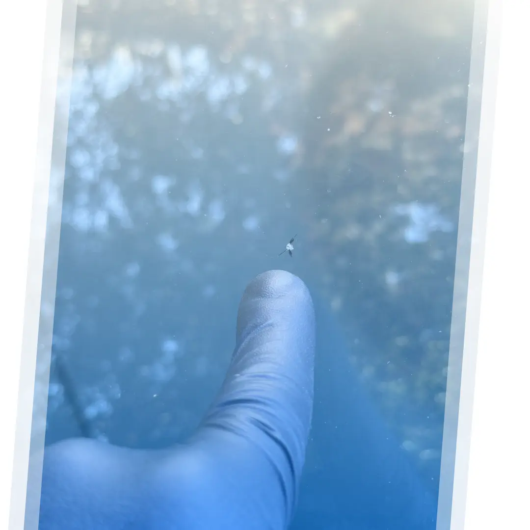 Garantie impact à vie